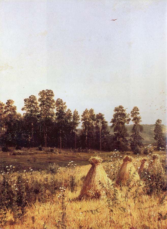 Landscape in Polesye